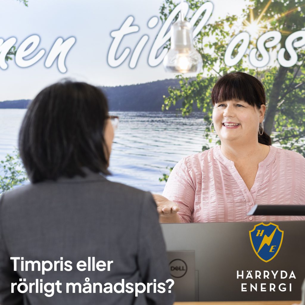 Timpris eller rörligt månadspris?