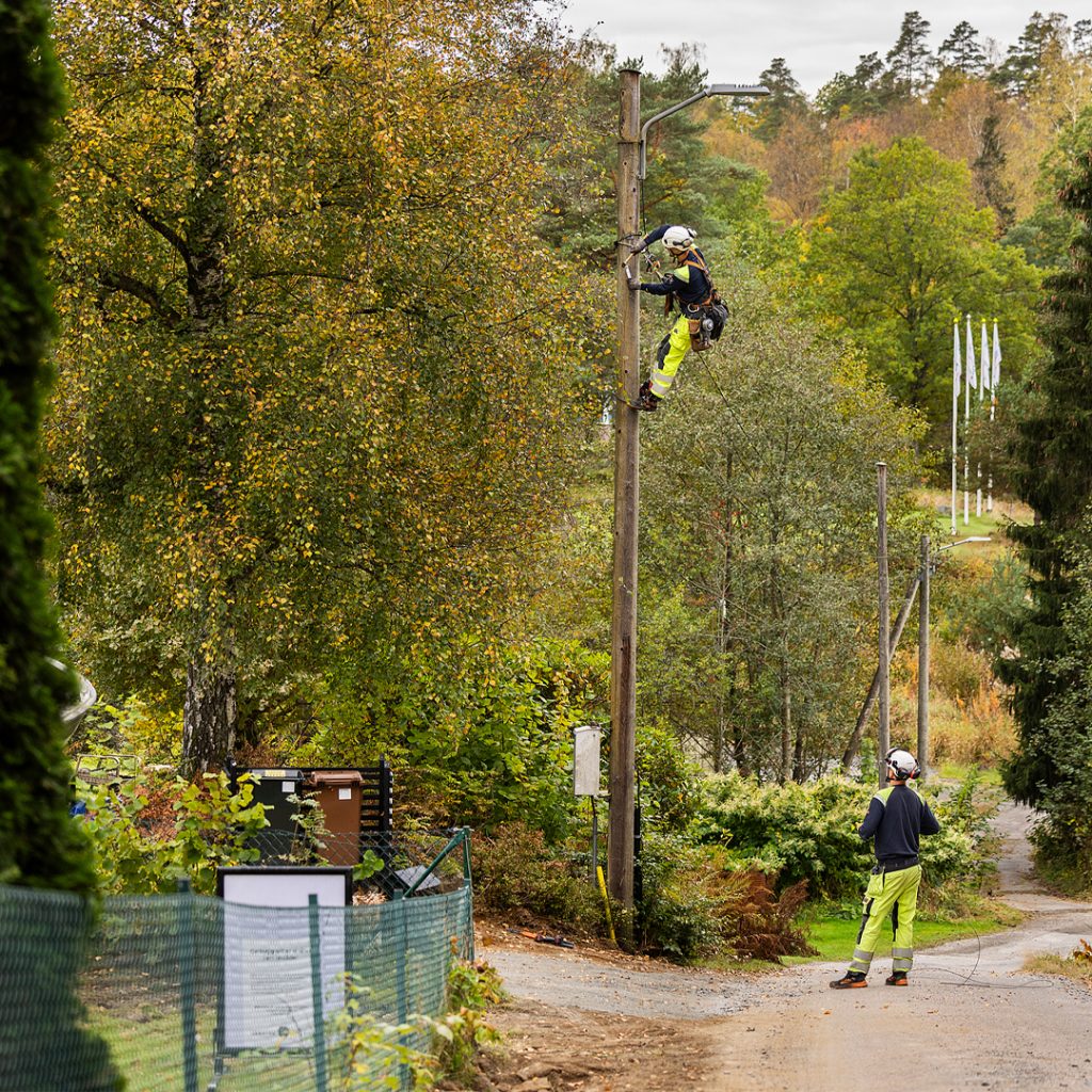 Elnätsåret 2024